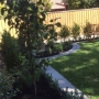 Loranthos project Kew