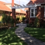 Loranthos project Kew