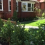 Loranthos project Kew