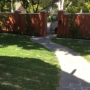 Loranthos project Kew