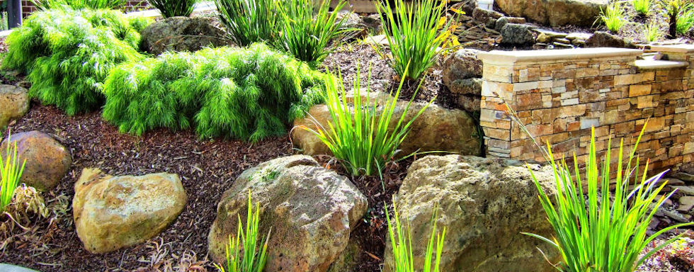 MZ Landscaping Job Example Image